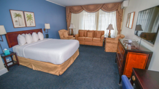 Copy of Junior Suite